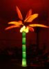 Led Coco Tree